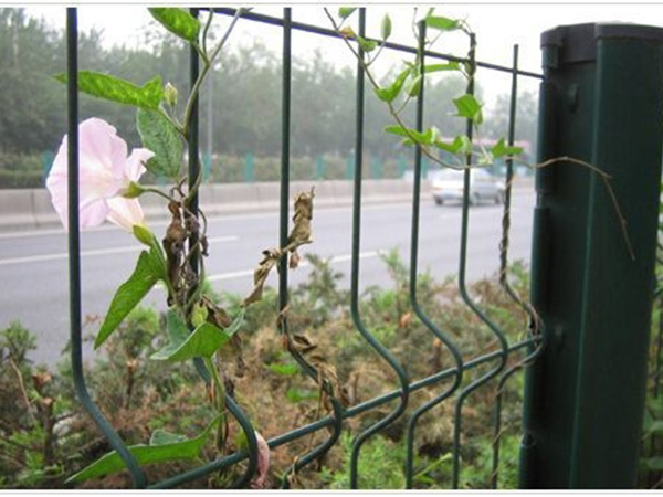 隔離帶護欄網(wǎng)