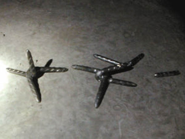 貴陽鐵蒺藜圖片2 貴陽鐵蒺藜圖片2