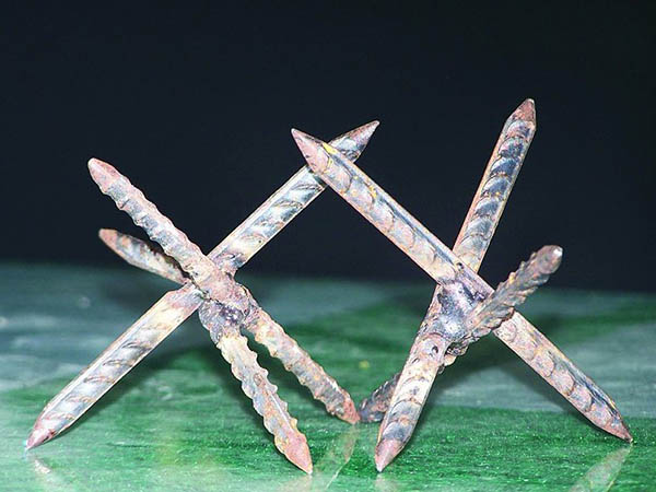 貴陽鐵蒺藜圖片3 貴陽鐵蒺藜圖片3