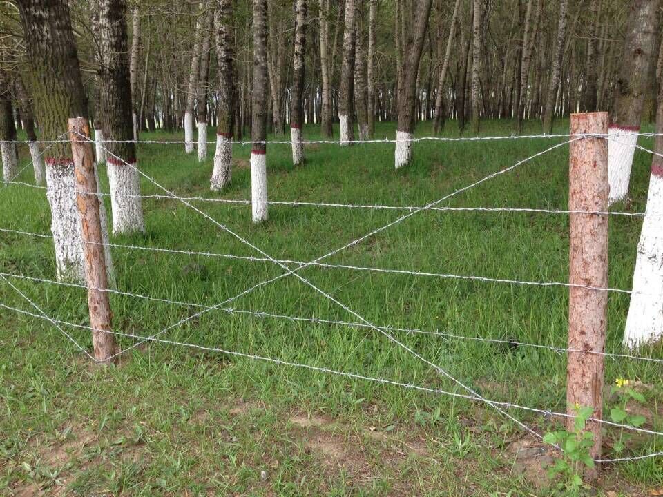 刺繩護欄網圖片5