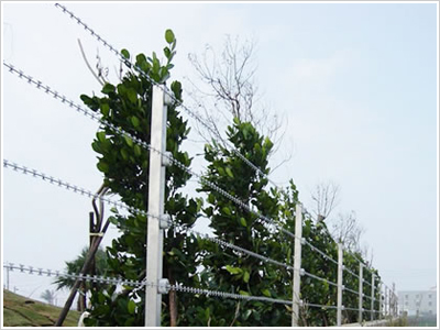 刀片/刺繩護(hù)欄網(wǎng)