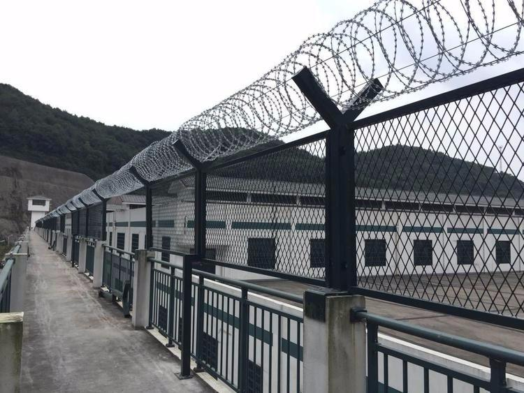 監(jiān)獄圍網(wǎng)